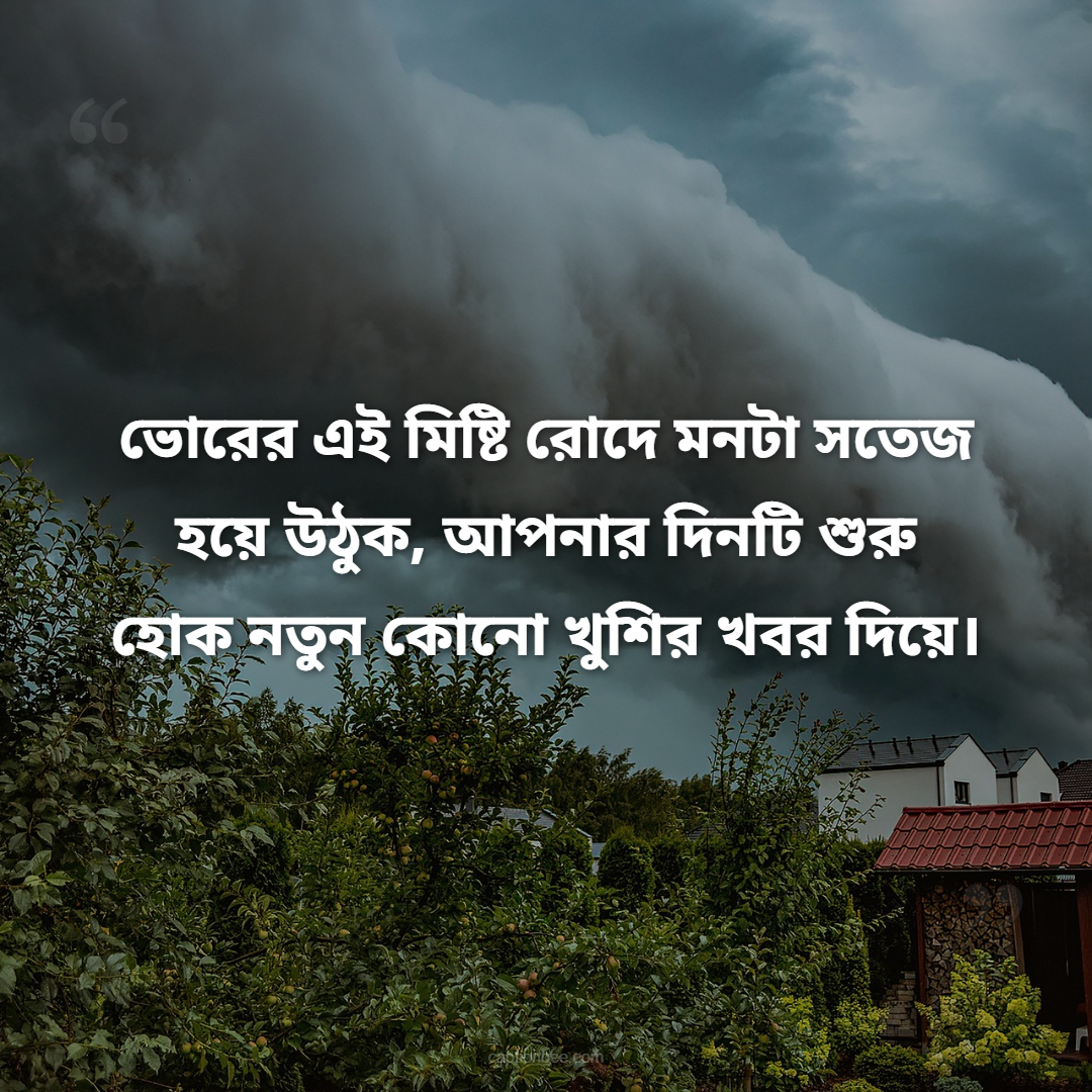 ভোরের এই মিষ্টি রোদে মনটা সতেজ হয়ে উঠুক, আপনার দিনটি শুরু হোক নতুন কোনো খুশির খবর দিয়ে।