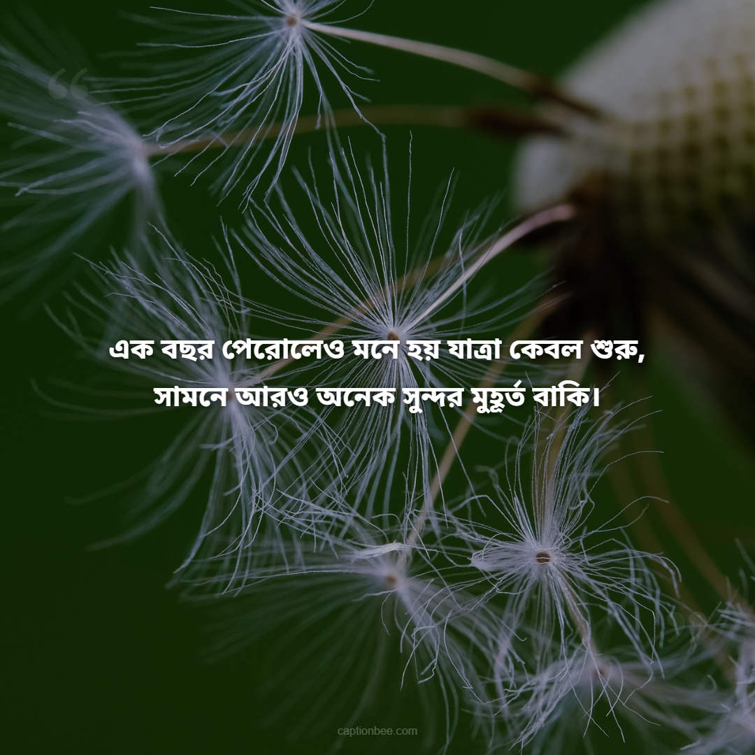 এক বছর পেরোলেও মনে হয় যাত্রা কেবল শুরু, সামনে আরও অনেক সুন্দর মুহূর্ত বাকি।