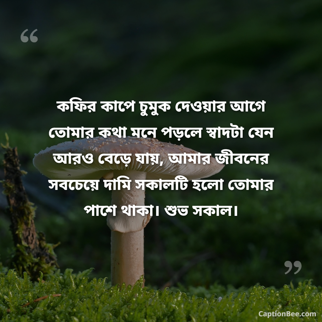 কফির কাপে চুমুক দেওয়ার আগে তোমার কথা মনে পড়লে স্বাদটা যেন আরও বেড়ে যায়, আমার জীবনের সবচেয়ে দামি সকালটি হলো তোমার পাশে থাকা। শুভ সকাল।