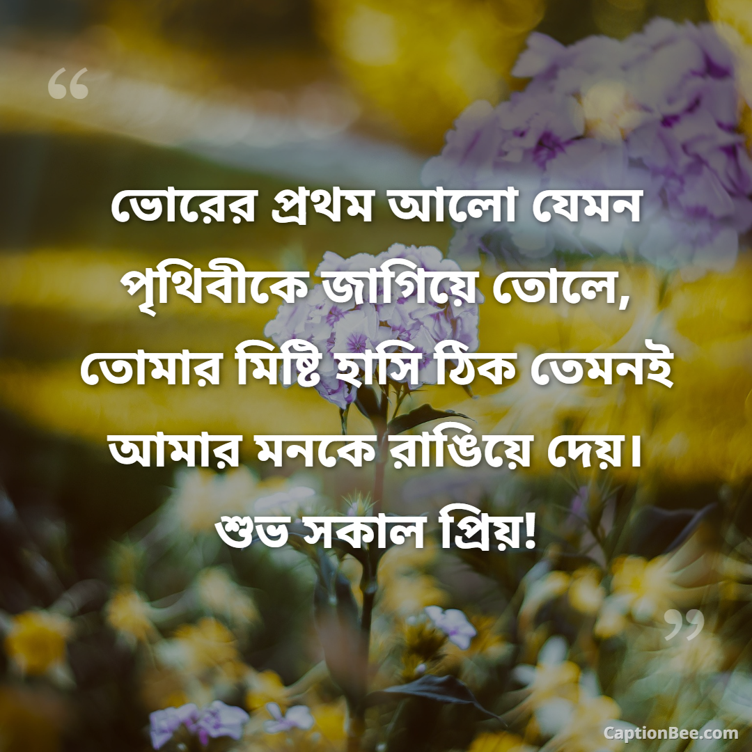 ভোরের প্রথম আলো যেমন পৃথিবীকে জাগিয়ে তোলে, তোমার মিষ্টি হাসি ঠিক তেমনই আমার মনকে রাঙিয়ে দেয়। শুভ সকাল প্রিয়!