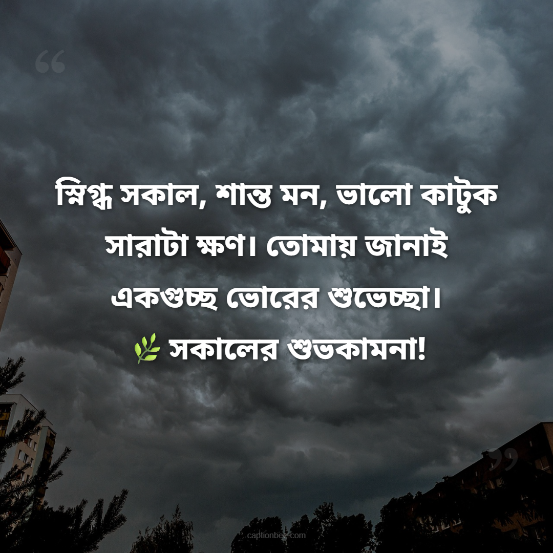 স্নিগ্ধ সকাল, শান্ত মন, ভালো কাটুক সারাটা ক্ষণ। তোমায় জানাই একগুচ্ছ ভোরের শুভেচ্ছা। সকালের শুভকামনা!