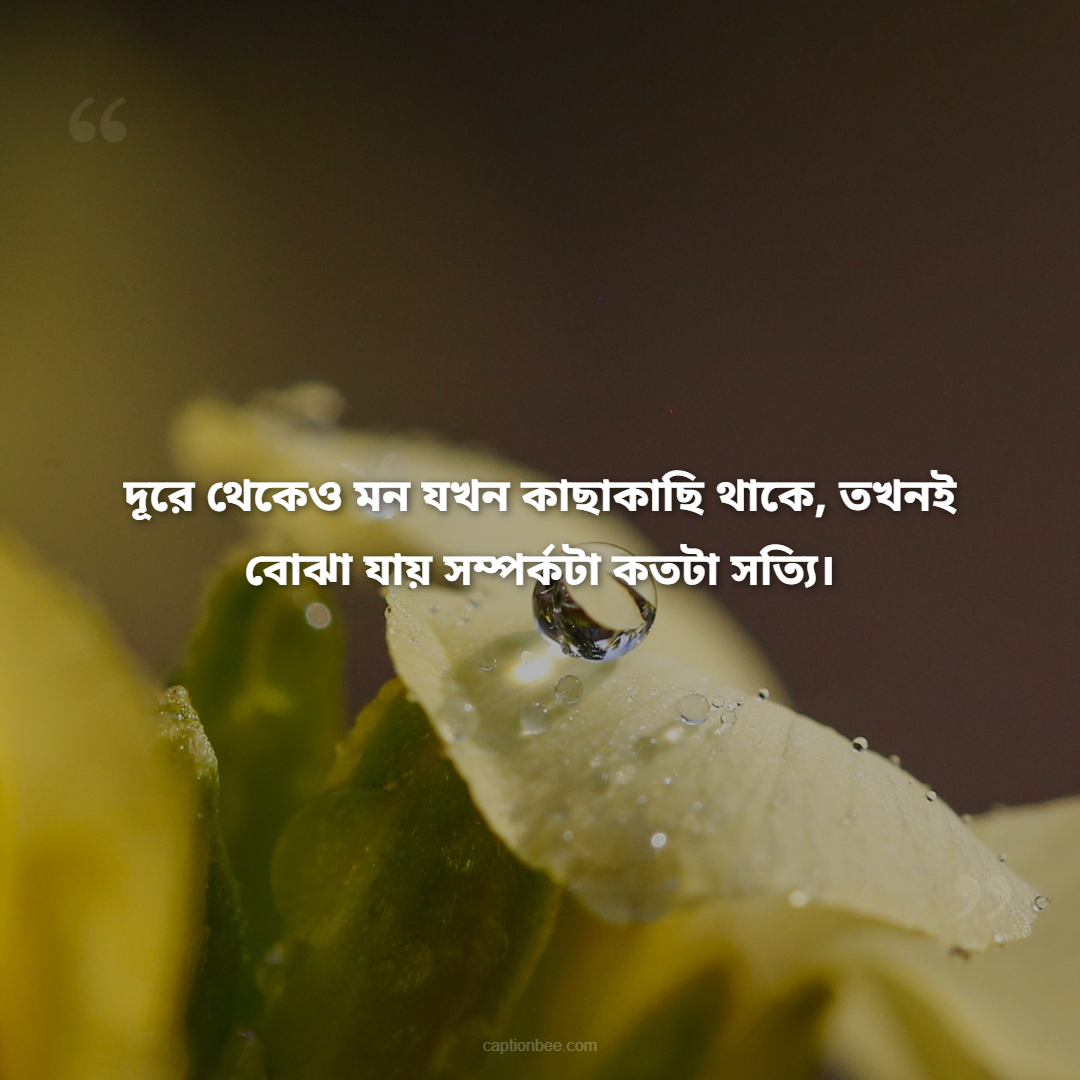 দূরে থেকেও মন যখন কাছাকাছি থাকে, তখনই বোঝা যায় সম্পর্কটা কতটা সত্যি।