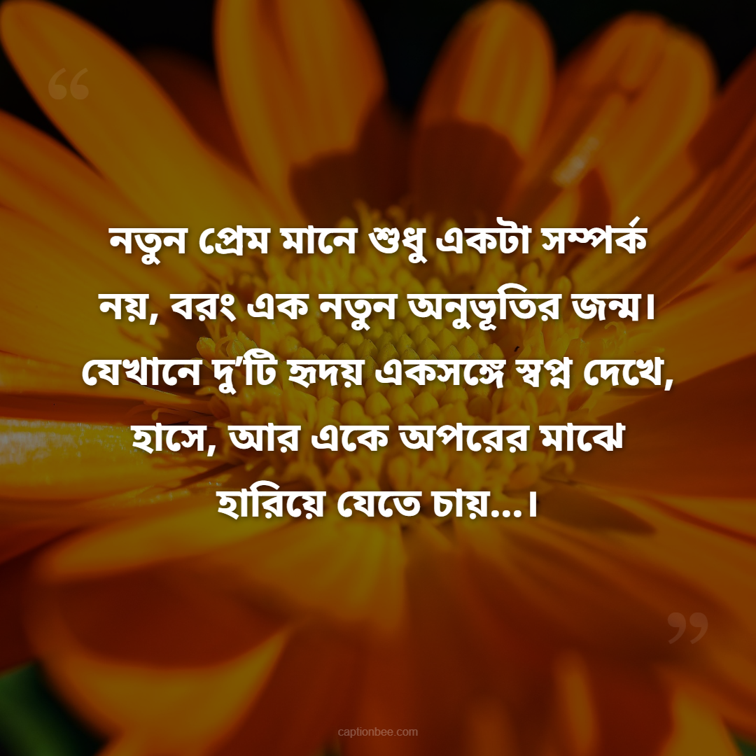 নতুন প্রেম মানে শুধু একটা সম্পর্ক নয়, বরং এক নতুন অনুভূতির জন্ম। যেখানে দু’টি হৃদয় একসঙ্গে স্বপ্ন দেখে, হাসে, আর একে অপরের মাঝে হারিয়ে যেতে চায়…।