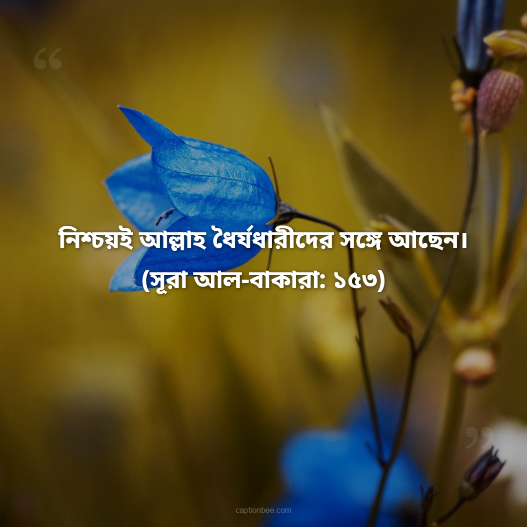 নিশ্চয়ই আল্লাহ ধৈর্যধারীদের সঙ্গে আছেন। -(সূরা আল-বাকারা ১৫৩)