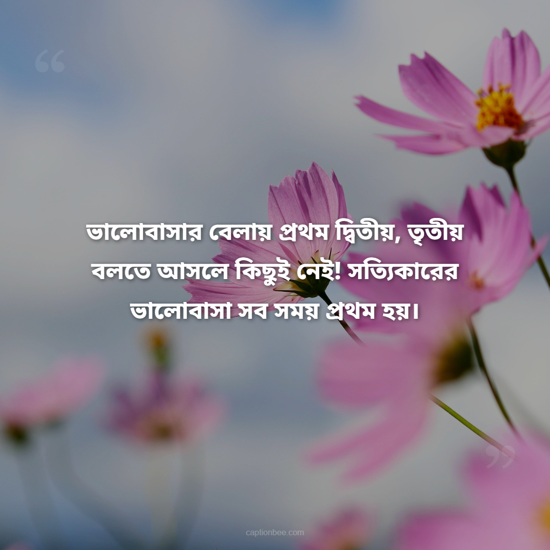 ভালোবাসার বেলায় প্রথম দ্বিতীয়, তৃতীয় বলতে আসলে কিছুই নেই! সত্যিকারের ভালোবাসা সব সময় প্রথম হয়।