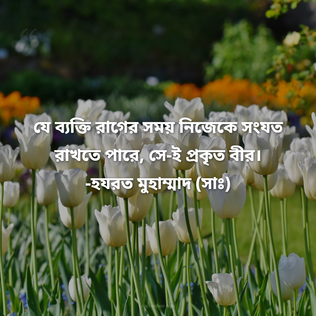 যে ব্যক্তি রাগের সময় নিজেকে সংযত রাখতে পারে, সে-ই প্রকৃত বীর। -হযরত মুহাম্মাদ (সাঃ)