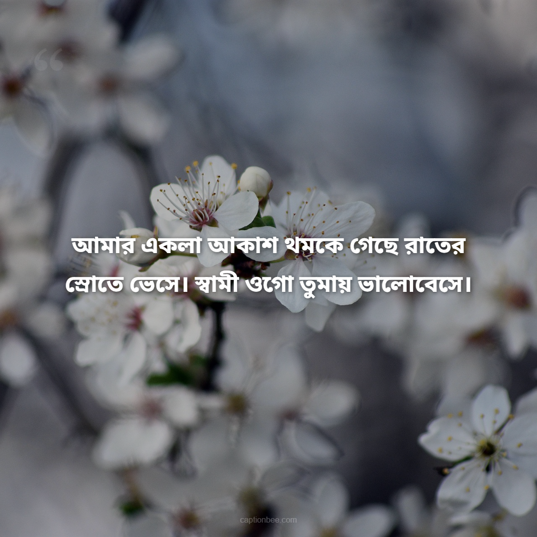 আমার একলা আকাশ থমকে গেছে রাতের স্রোতে ভেসে। স্বামী ওগো তুমায় ভালোবেসে।