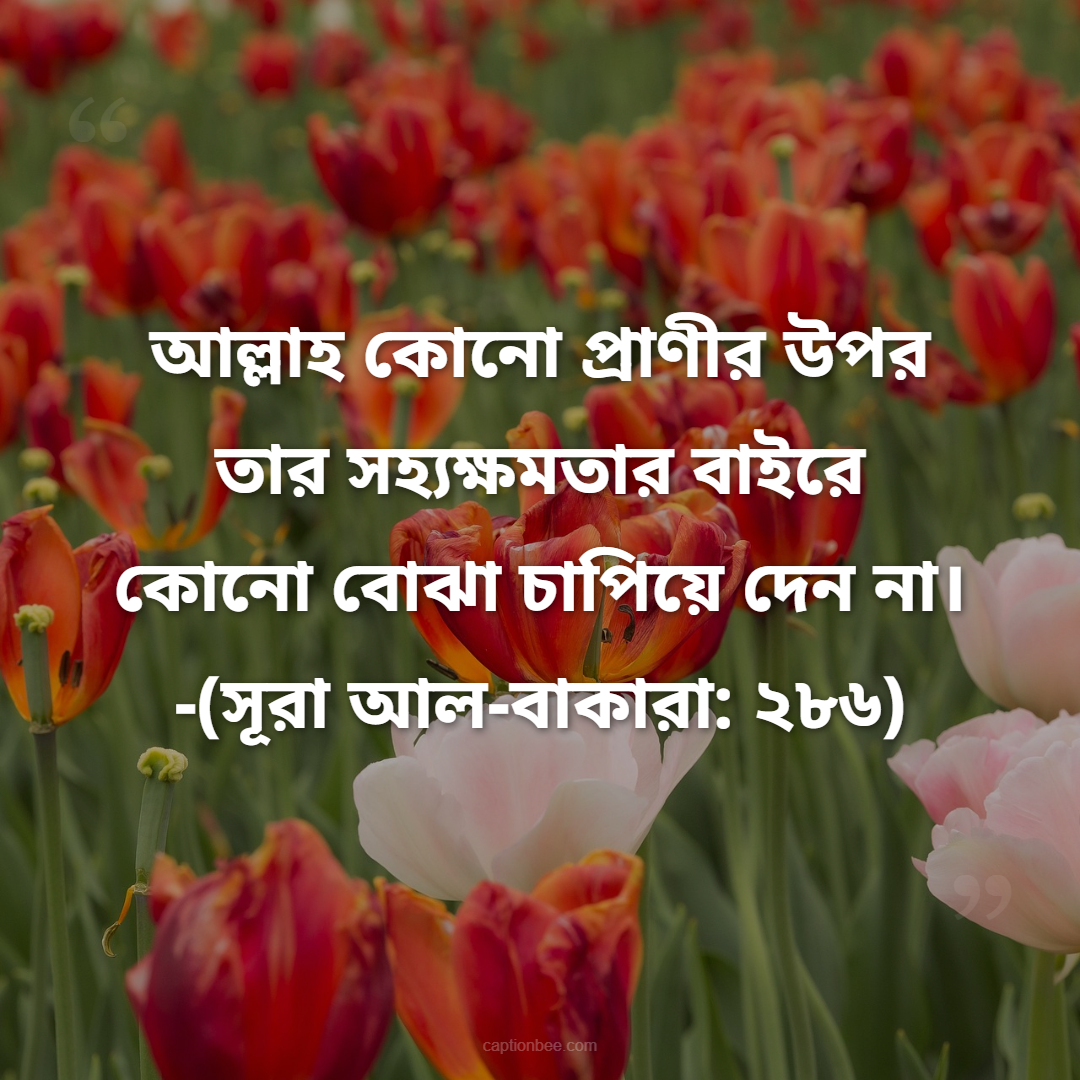 আল্লাহ কোনো প্রাণীর উপর তার সহ্যক্ষমতার বাইরে কোনো বোঝা চাপিয়ে দেন না। -(সূরা আল-বাকারা ২৮৬)