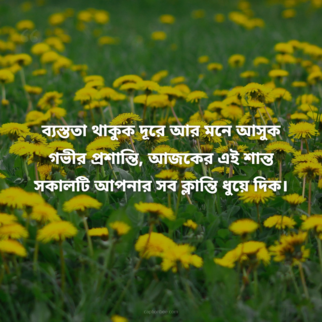 ব্যস্ততা থাকুক দূরে আর মনে আসুক গভীর প্রশান্তি, আজকের এই শান্ত সকালটি আপনার সব ক্লান্তি ধুয়ে দিক।