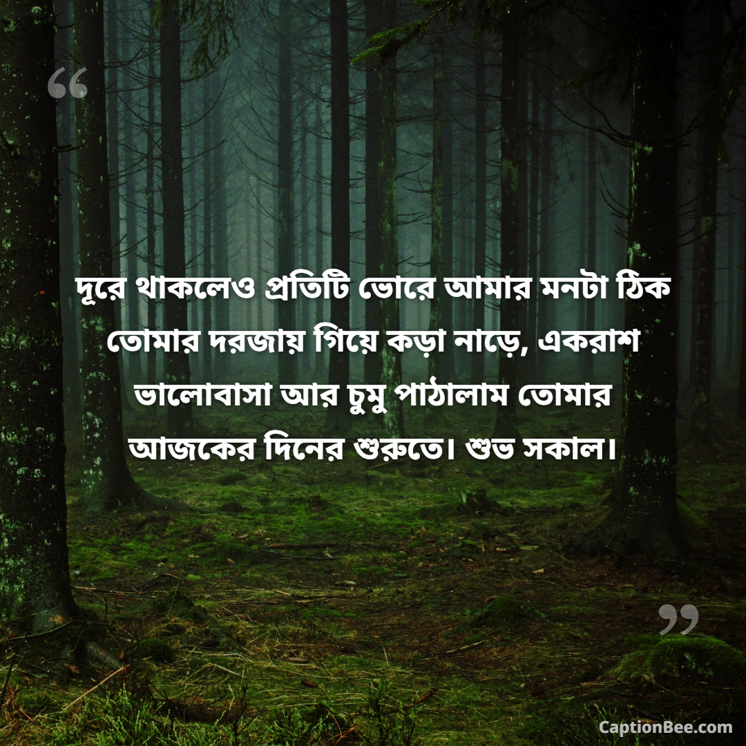 দূরে থাকলেও প্রতিটি ভোরে আমার মনটা ঠিক তোমার দরজায় গিয়ে কড়া নাড়ে, একরাশ ভালোবাসা আর চুমু পাঠালাম তোমার আজকের দিনের শুরুতে। শুভ সকাল।