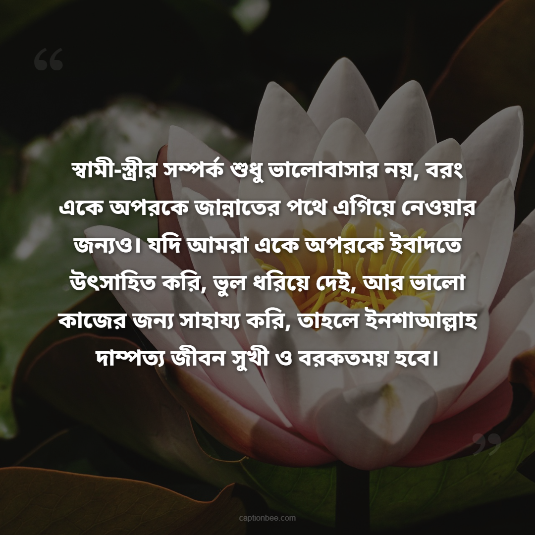 স্বামী-স্ত্রীর সম্পর্ক শুধু ভালোবাসার নয়, বরং একে অপরকে জান্নাতের পথে এগিয়ে নেওয়ার জন্যও। যদি আমরা একে অপরকে ইবাদতে উৎসাহিত করি, ভুল ধরিয়ে দেই, আর ভালো কাজের জন্য সাহায্য করি, তাহলে ইনশাআল্লাহ দাম্পত্য জীবন সুখ