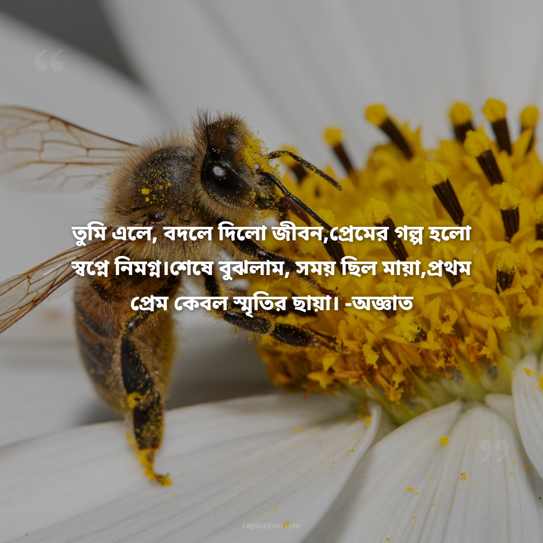 তুমি এলে, বদলে দিলো জীবন,প্রেমের গল্প হলো স্বপ্নে নিমগ্ন।শেষে বুঝলাম, সময় ছিল মায়া,প্রথম প্রেম কেবল স্মৃতির ছায়া। -অজ্ঞাত