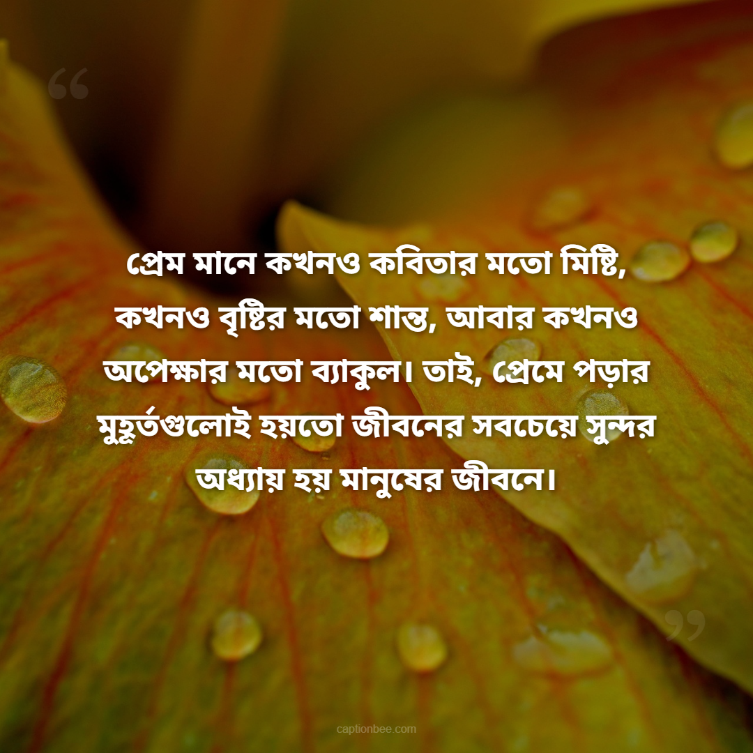 প্রেম মানে কখনও কবিতার মতো মিষ্টি, কখনও বৃষ্টির মতো শান্ত, আবার কখনও অপেক্ষার মতো ব্যাকুল। তাই, প্রেমে পড়ার মুহূর্তগুলোই হয়তো জীবনের সবচেয়ে সুন্দর অধ্যায় হয় মানুষের জীবনে।