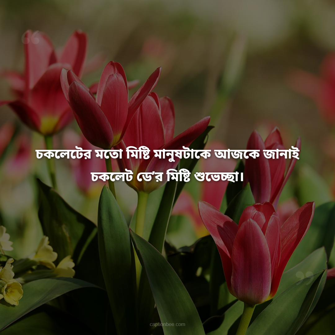 চকলেটের মতো মিষ্টি মানুষটাকে আজকে জানাই চকলেট ডে’র মিষ্টি শুভেচ্ছা।