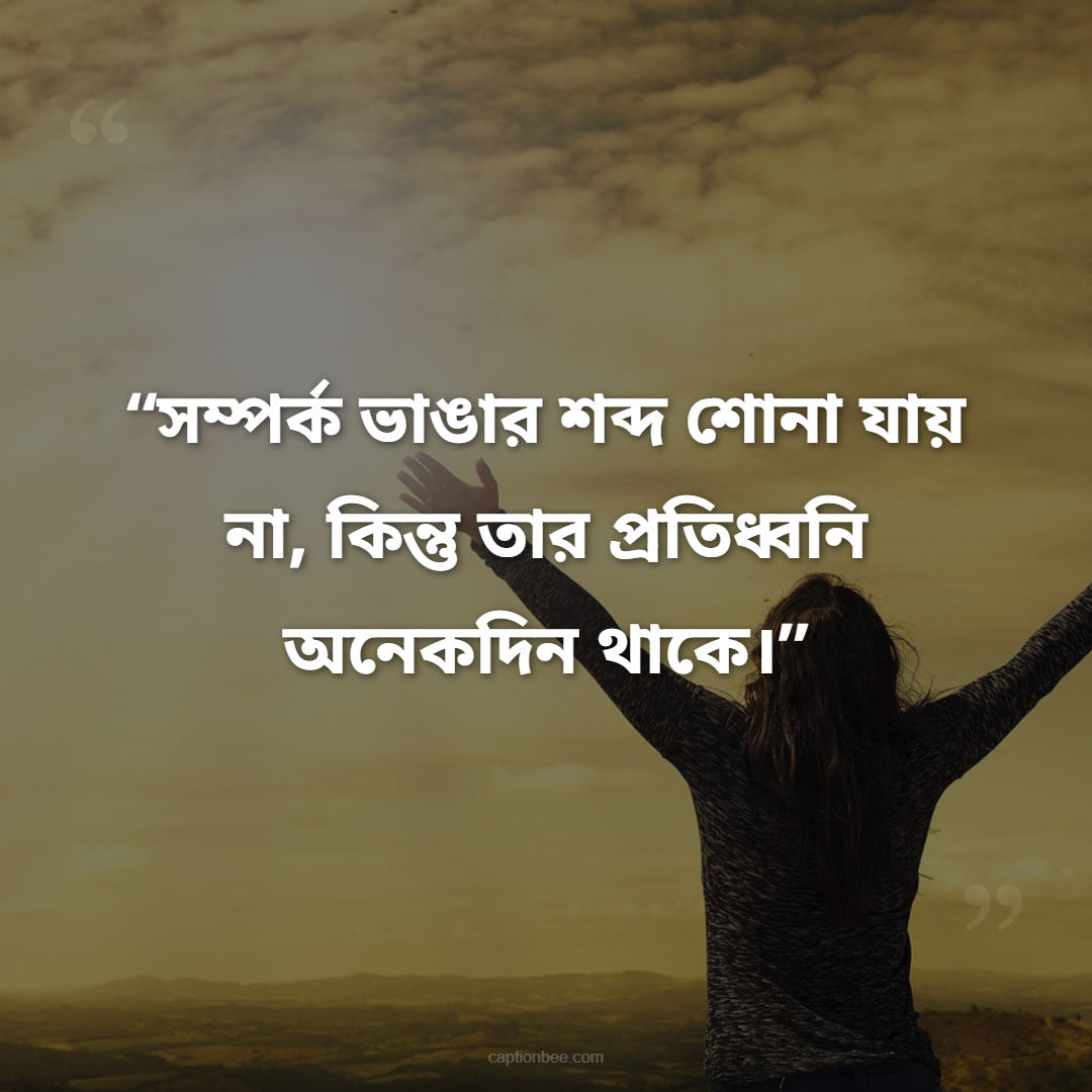 সম্পর্ক ভাঙার শব্দ শোনা যায় না, কিন্তু তার প্রতিধ্বনি অনেকদিন থাকে।