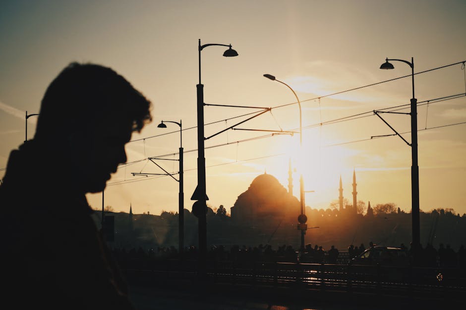 pexels-26113654