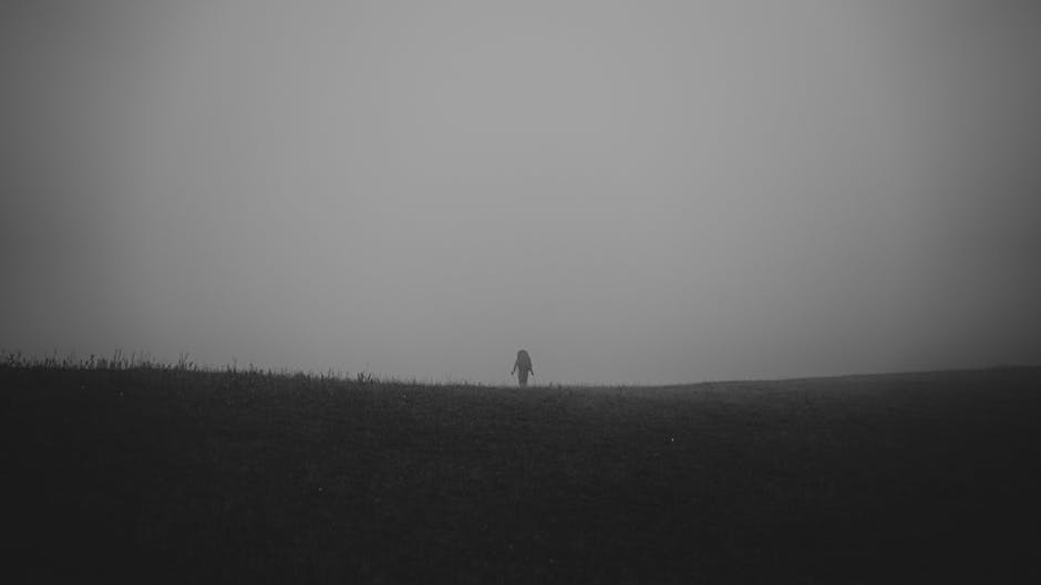pexels-28808111
