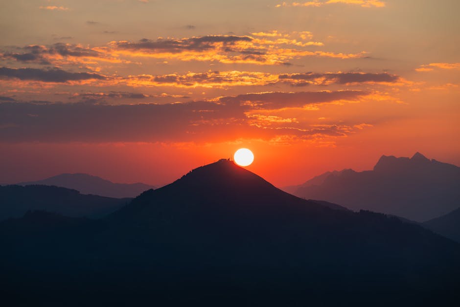pexels-34046634
