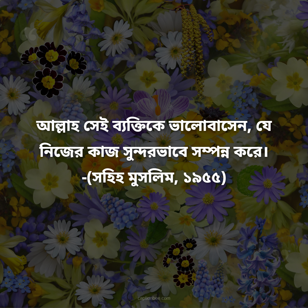 আল্লাহ সেই ব্যক্তিকে ভালোবাসেন, যে নিজের কাজ সুন্দরভাবে সম্পন্ন করে। -(সহিহ মুসলিম, ১৯৫৫)