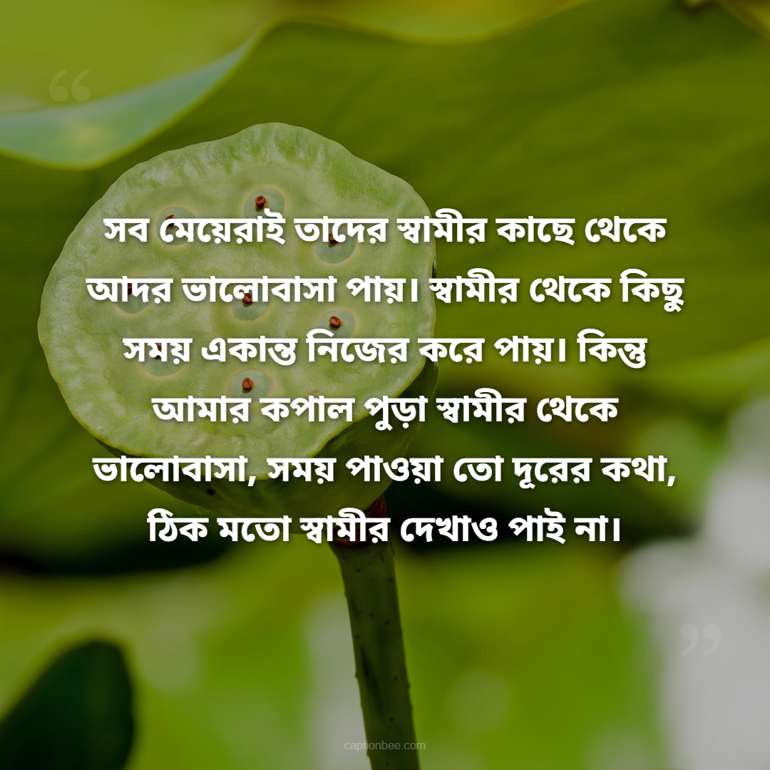 সব মেয়েরাই তাদের স্বামীর কাছে থেকে আদর ভালোবাসা পায়। স্বামীর থেকে কিছু সময় একান্ত নিজের করে পায়। কিন্তু আমার কপাল পুড়া স্বামীর থেকে ভালোবাসা, সময় পাওয়া তো দূরের কথা, ঠিক মতো স্বামীর দেখাও পাই না।