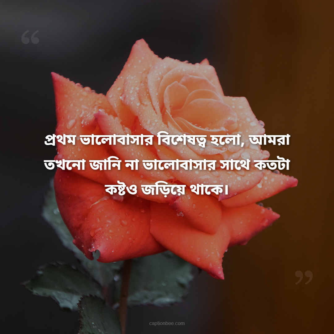প্রথম ভালোবাসার বিশেষত্ব হলো, আমরা তখনো জানি না ভালোবাসার সাথে কতটা কষ্টও জড়িয়ে থাকে।
