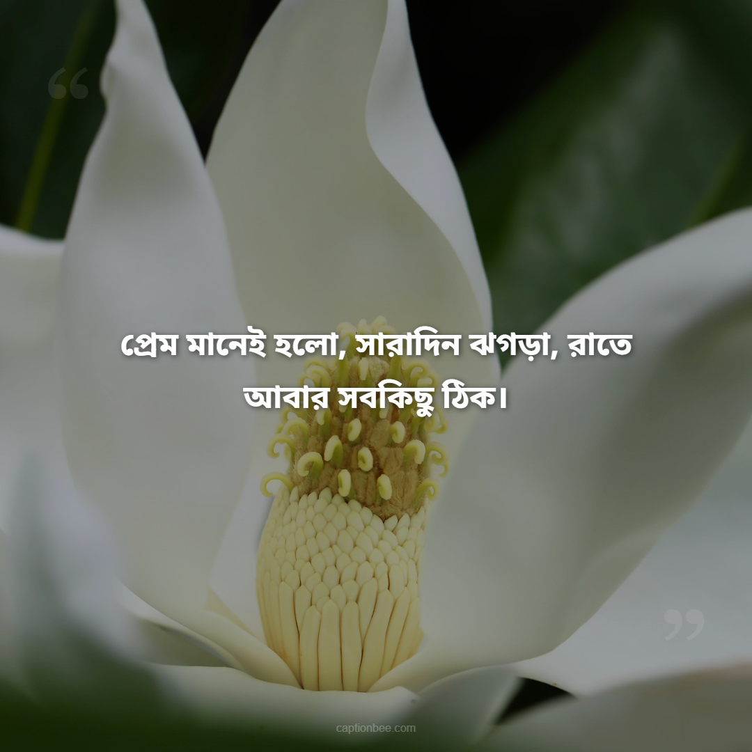 প্রেম মানেই হলো, সারাদিন ঝগড়া, রাতে আবার সবকিছু ঠিক।