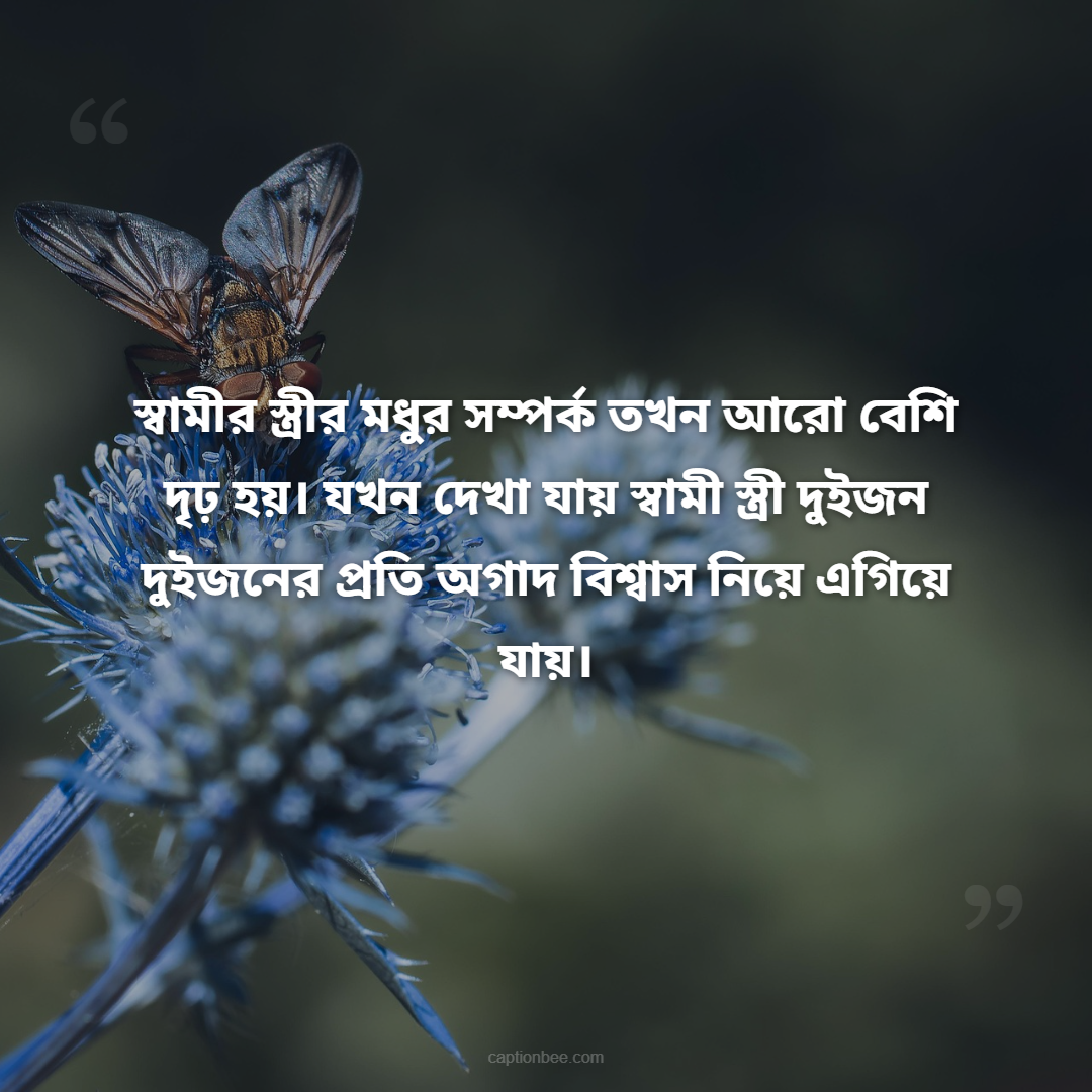 স্বামীর স্ত্রীর মধুর সম্পর্ক তখন আরো বেশি দৃঢ় হয়। যখন দেখা যায় স্বামী স্ত্রী দুইজন দুইজনের প্রতি অগাদ বিশ্বাস নিয়ে এগিয়ে যায়।