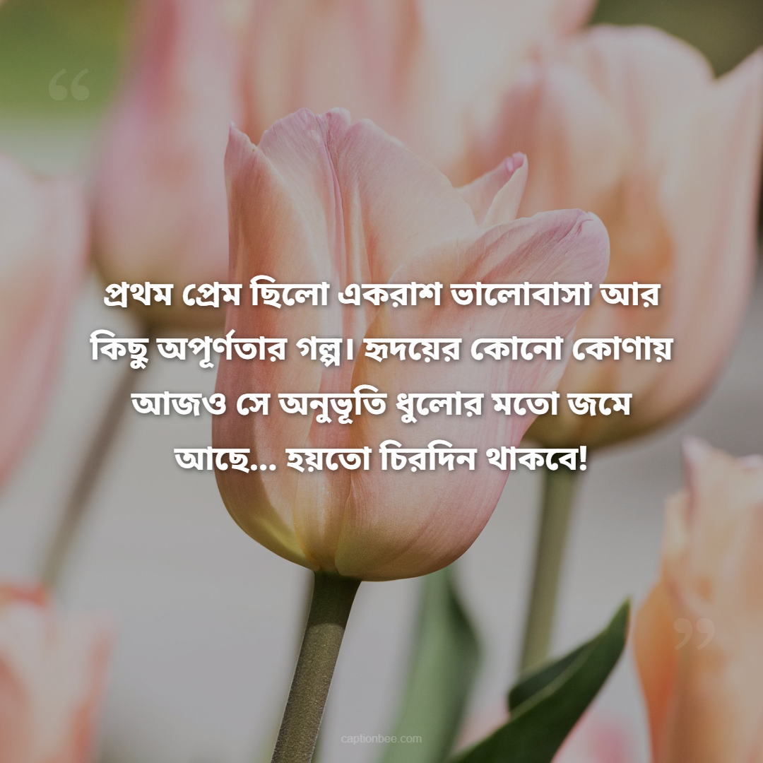 প্রথম প্রেম ছিলো একরাশ ভালোবাসা আর কিছু অপূর্ণতার গল্প। হৃদয়ের কোনো কোণায় আজও সে অনুভূতি ধুলোর মতো জমে আছে… হয়তো চিরদিন থাকবে!