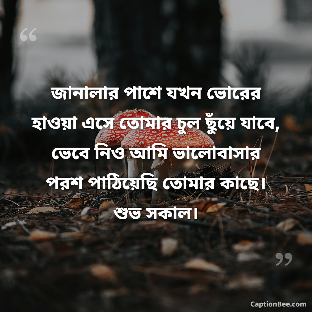জানালার পাশে যখন ভোরের হাওয়া এসে তোমার চুল ছুঁয়ে যাবে, ভেবে নিও আমি ভালোবাসার পরশ পাঠিয়েছি তোমার কাছে। শুভ সকাল।