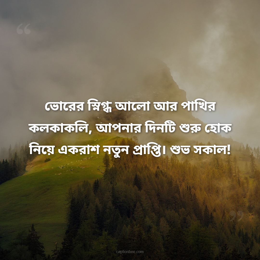 ভোরের স্নিগ্ধ আলো আর পাখির কলকাকলি, আপনার দিনটি শুরু হোক নিয়ে একরাশ নতুন প্রাপ্তি। শুভ সকাল!