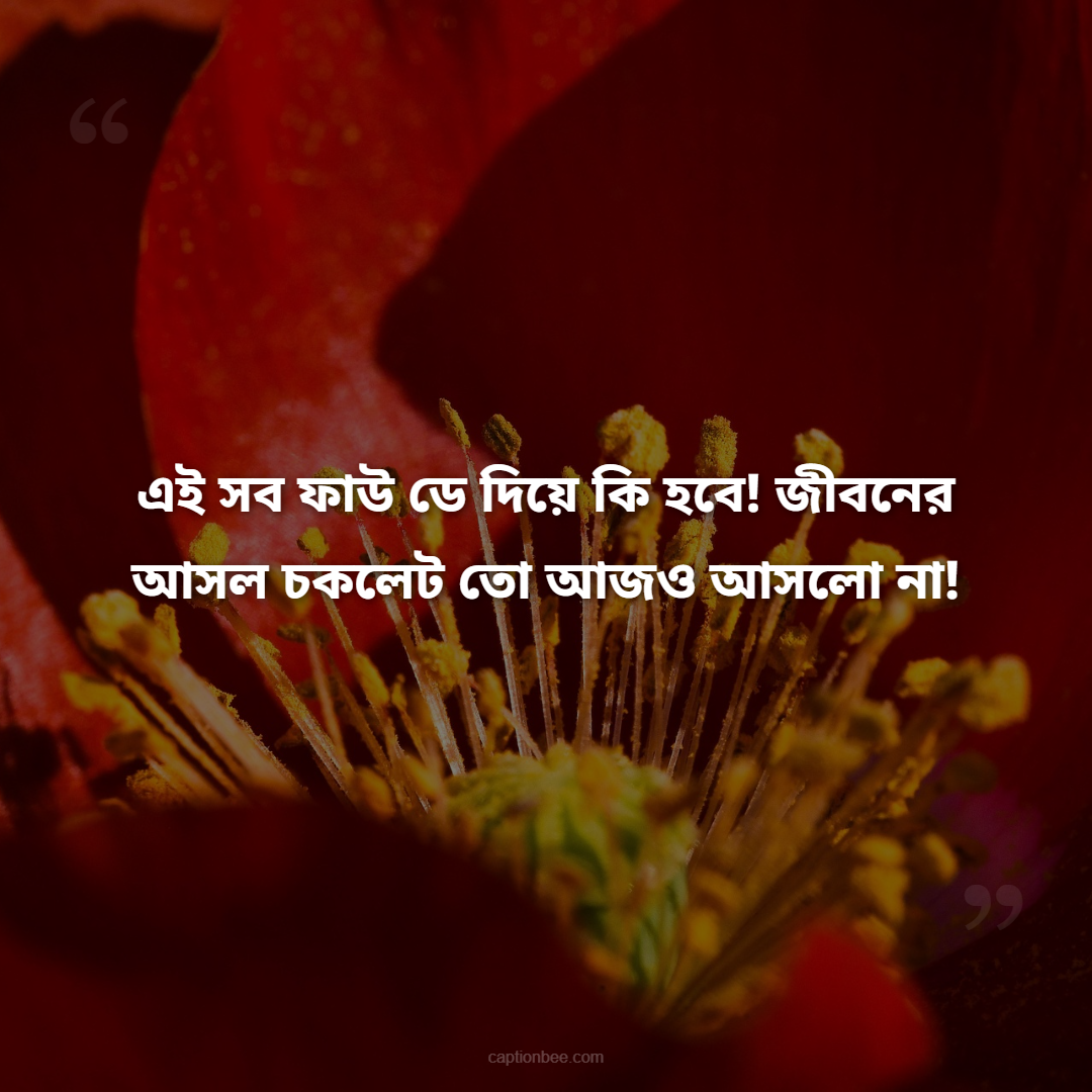 এই সব ফাউ ডে দিয়ে কি হবে! জীবনের আসল চকলেট তো আজও আসলো না!