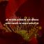 এই সব ফাউ ডে দিয়ে কি হবে! জীবনের আসল চকলেট তো আজও আসলো না!
