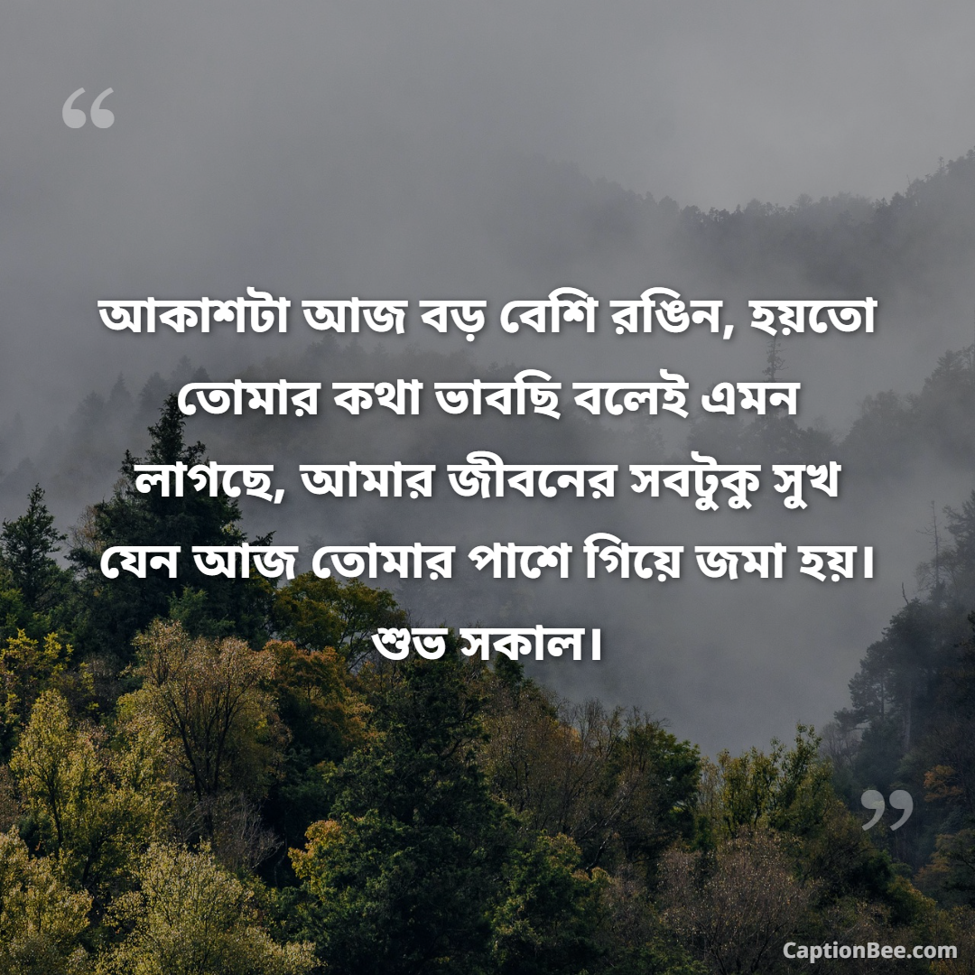 আকাশটা আজ বড় বেশি রঙিন, হয়তো তোমার কথা ভাবছি বলেই এমন লাগছে, আমার জীবনের সবটুকু সুখ যেন আজ তোমার পাশে গিয়ে জমা হয়। শুভ সকাল।