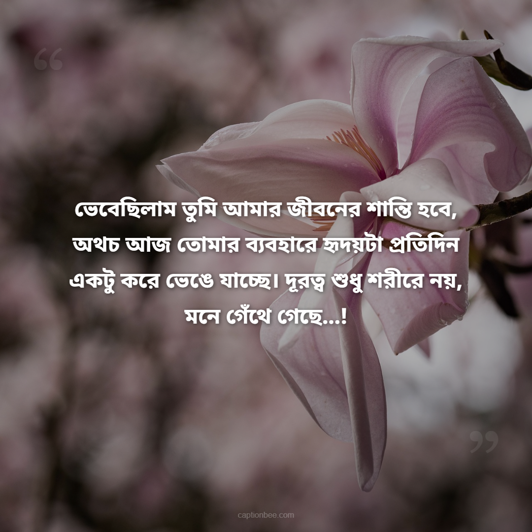 ভেবেছিলাম তুমি আমার জীবনের শান্তি হবে, অথচ আজ তোমার ব্যবহারে হৃদয়টা প্রতিদিন একটু করে ভেঙে যাচ্ছে। দূরত্ব শুধু শরীরে নয়, মনে গেঁথে গেছে…!