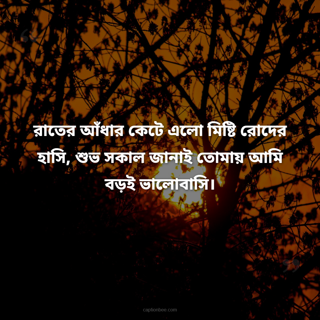 রাতের আঁধার কেটে এলো মিষ্টি রোদের হাসি, শুভ সকাল জানাই তোমায় আমি বড়ই ভালোবাসি।