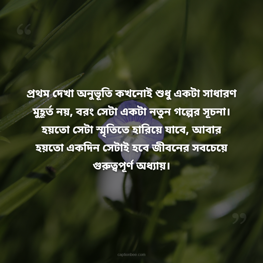 প্রথম দেখা অনুভূতি কখনোই শুধু একটা সাধারণ মুহূর্ত নয়, বরং সেটা একটা নতুন গল্পের সূচনা। হয়তো সেটা স্মৃতিতে হারিয়ে যাবে, আবার হয়তো একদিন সেটাই হবে জীবনের সবচেয়ে গুরুত্বপূর্ণ অধ্যায়।