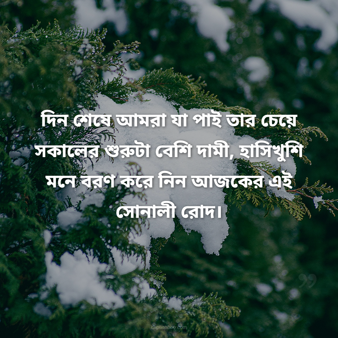 দিন শেষে আমরা যা পাই তার চেয়ে সকালের শুরুটা বেশি দামী, হাসিখুশি মনে বরণ করে নিন আজকের এই সোনালী রোদ।