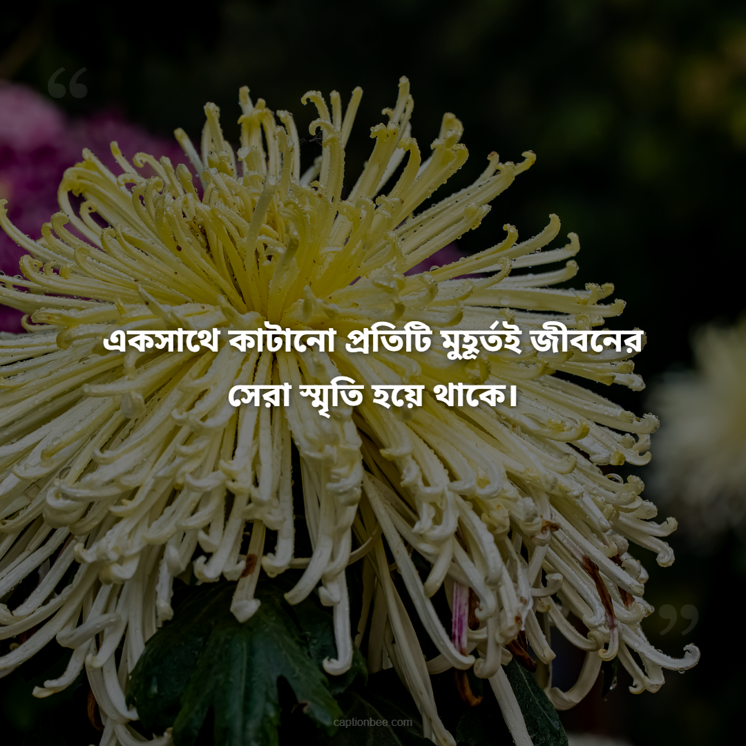 একসাথে কাটানো প্রতিটি মুহূর্তই জীবনের সেরা স্মৃতি হয়ে থাকে।