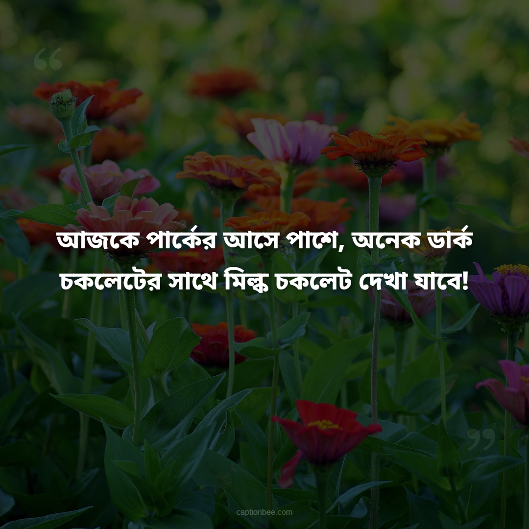 আজকে পার্কের আসে পাশে, অনেক ডার্ক চকলেটের সাথে মিল্ক চকলেট দেখা যাবে!