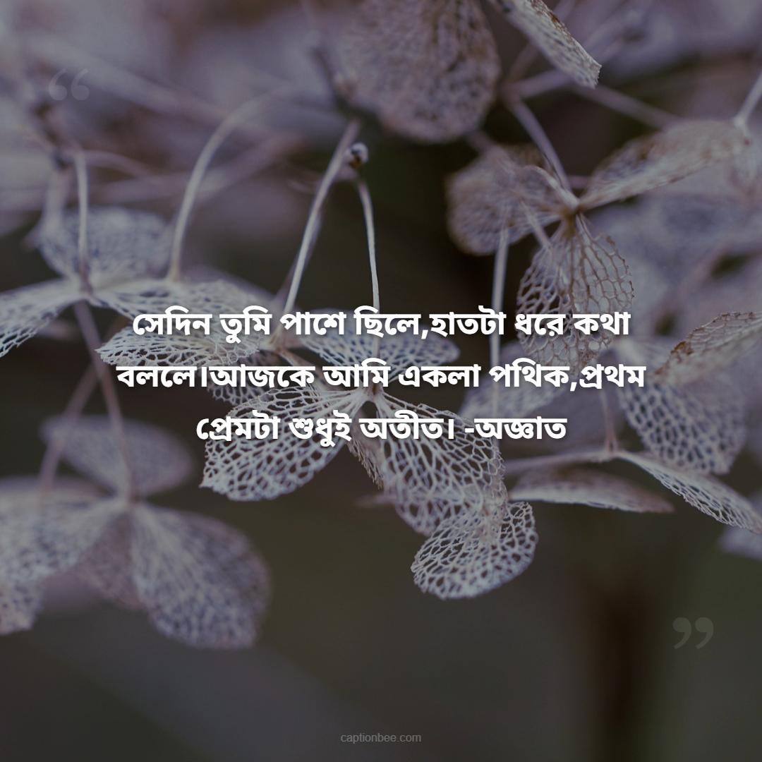 সেদিন তুমি পাশে ছিলে,হাতটা ধরে কথা বললে।আজকে আমি একলা পথিক,প্রথম প্রেমটা শুধুই অতীত।  -অজ্ঞাত