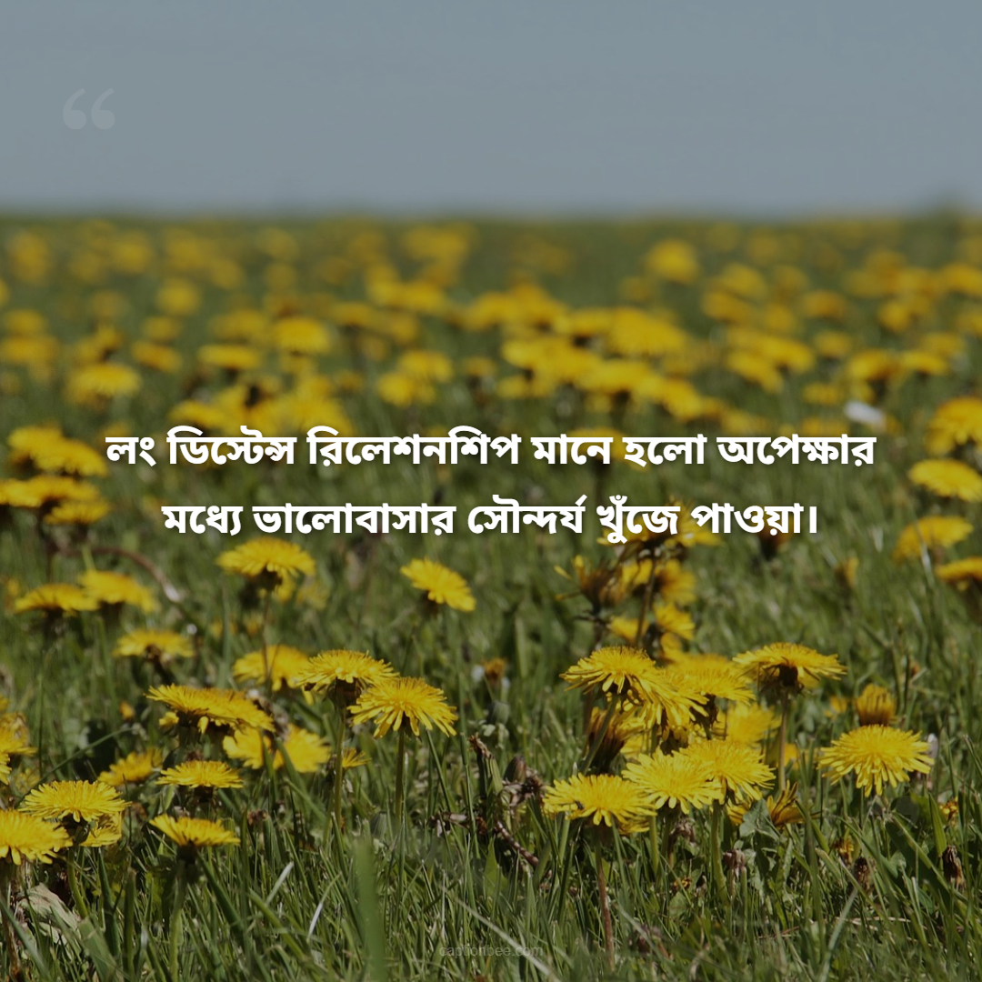 লং ডিস্টেন্স রিলেশনশিপ মানে হলো অপেক্ষার মধ্যে ভালোবাসার সৌন্দর্য খুঁজে পাওয়া।