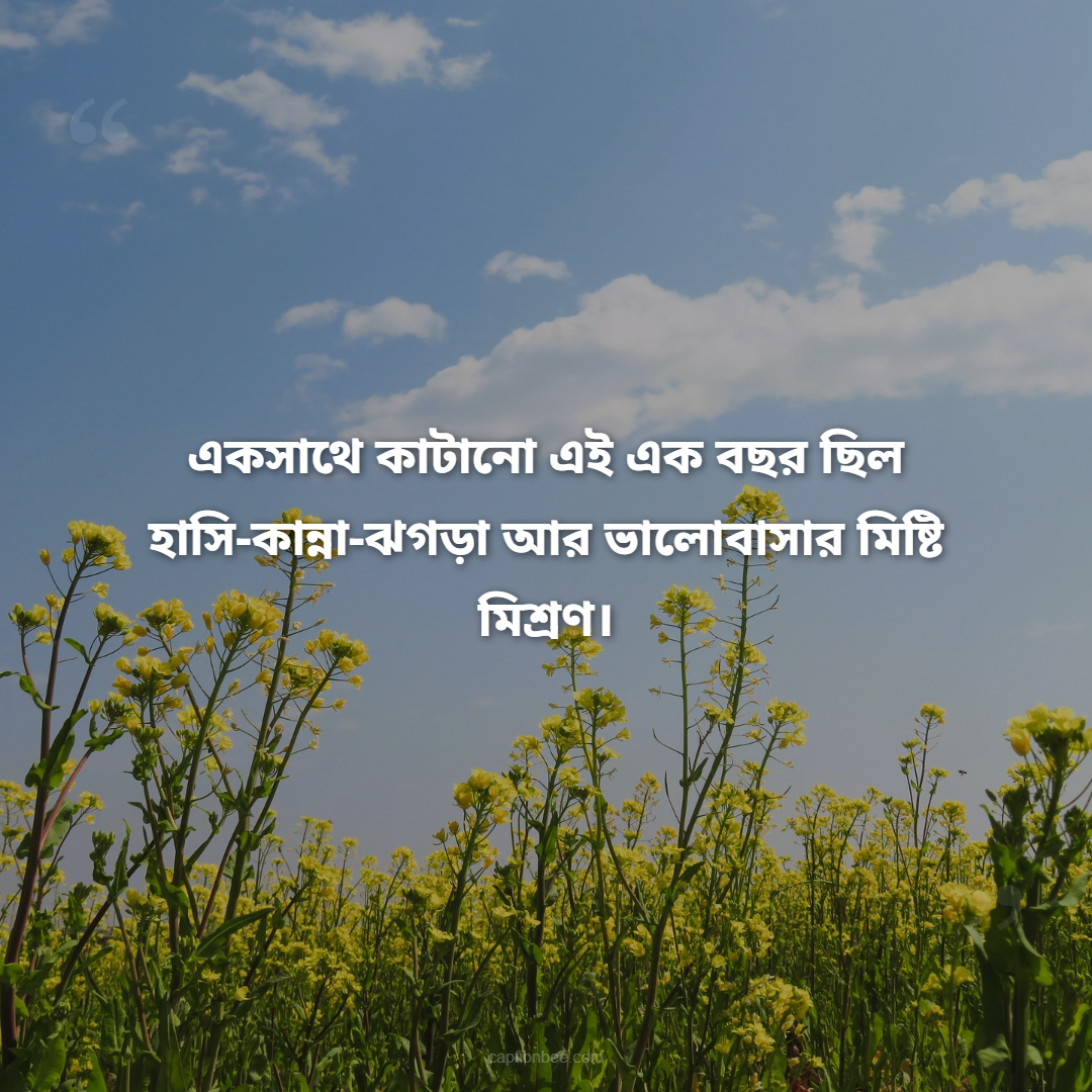 একসাথে কাটানো এই এক বছর ছিল হাসি-কান্না-ঝগড়া আর ভালোবাসার মিষ্টি মিশ্রণ।