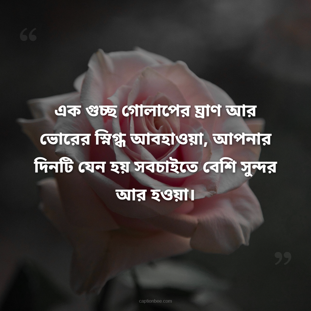 এক গুচ্ছ গোলাপের ঘ্রাণ আর ভোরের স্নিগ্ধ আবহাওয়া, আপনার দিনটি যেন হয় সবচাইতে বেশি সুন্দর আর হওয়া।