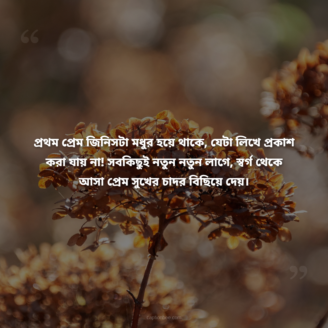প্রথম প্রেম জিনিসটা মধুর হয়ে থাকে, যেটা লিখে প্রকাশ করা যায় না! সবকিছুই নতুন নতুন লাগে, স্বর্গ থেকে আসা প্রেম সুখের চাদর বিছিয়ে দেয়।