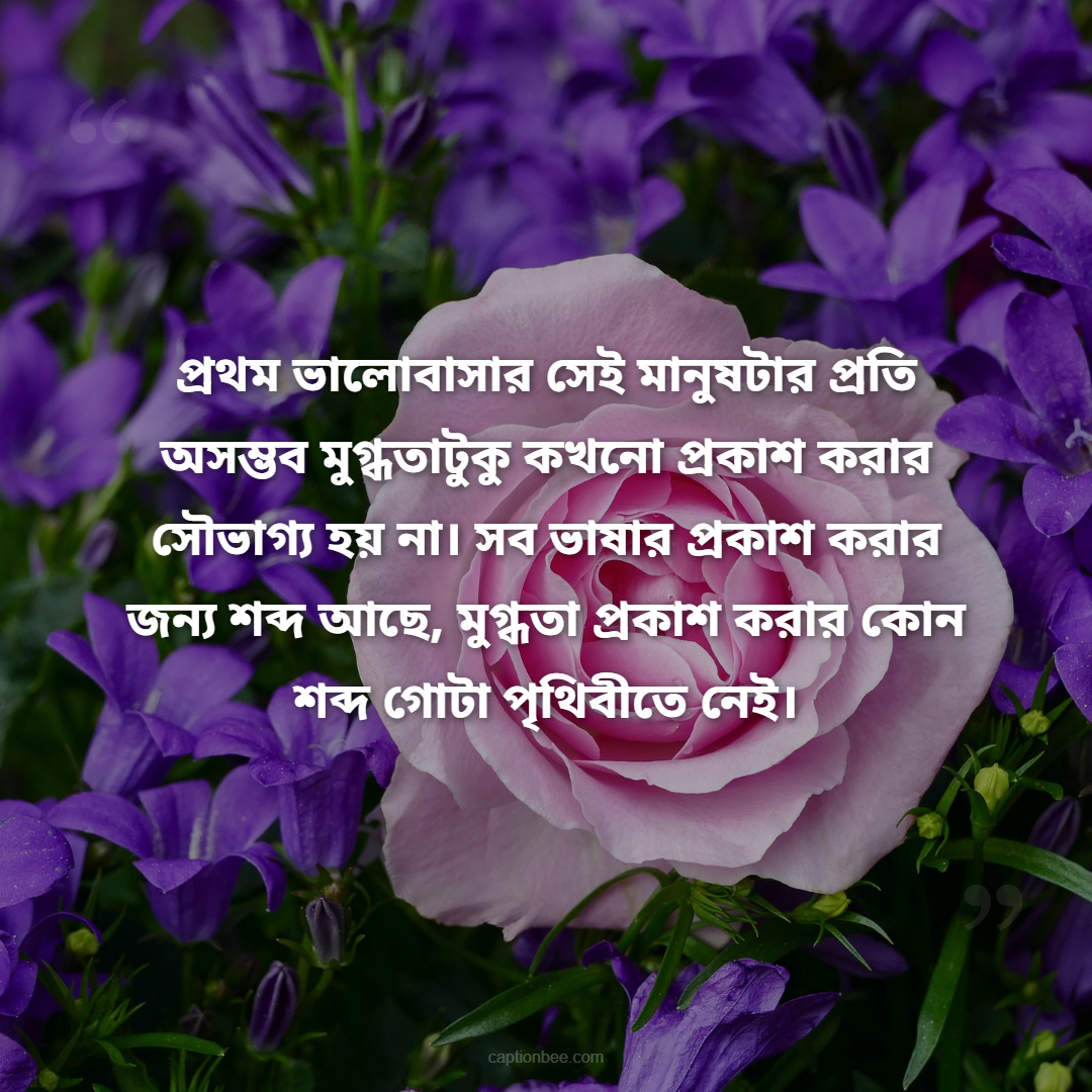 প্রথম ভালোবাসার সেই মানুষটার প্রতি অসম্ভব মুগ্ধতাটুকু কখনো প্রকাশ করার সৌভাগ্য হয় না। সব ভাষার প্রকাশ করার জন্য শব্দ আছে, মুগ্ধতা প্রকাশ করার কোন শব্দ গোটা পৃথিবীতে নেই।