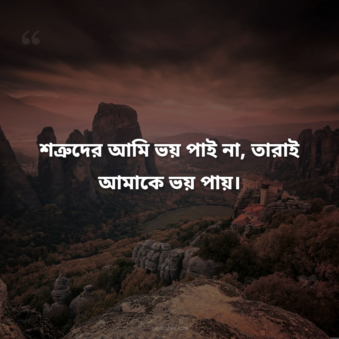 শত্রুদের আমি ভয় পাই না, তারাই আমাকে ভয় পায়।