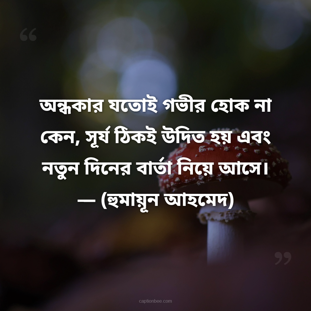 অন্ধকার যতোই গভীর হোক না কেন, সূর্য ঠিকই উদিত হয় এবং নতুন দিনের বার্তা নিয়ে আসে। — (হুমায়ূন আহমেদ)