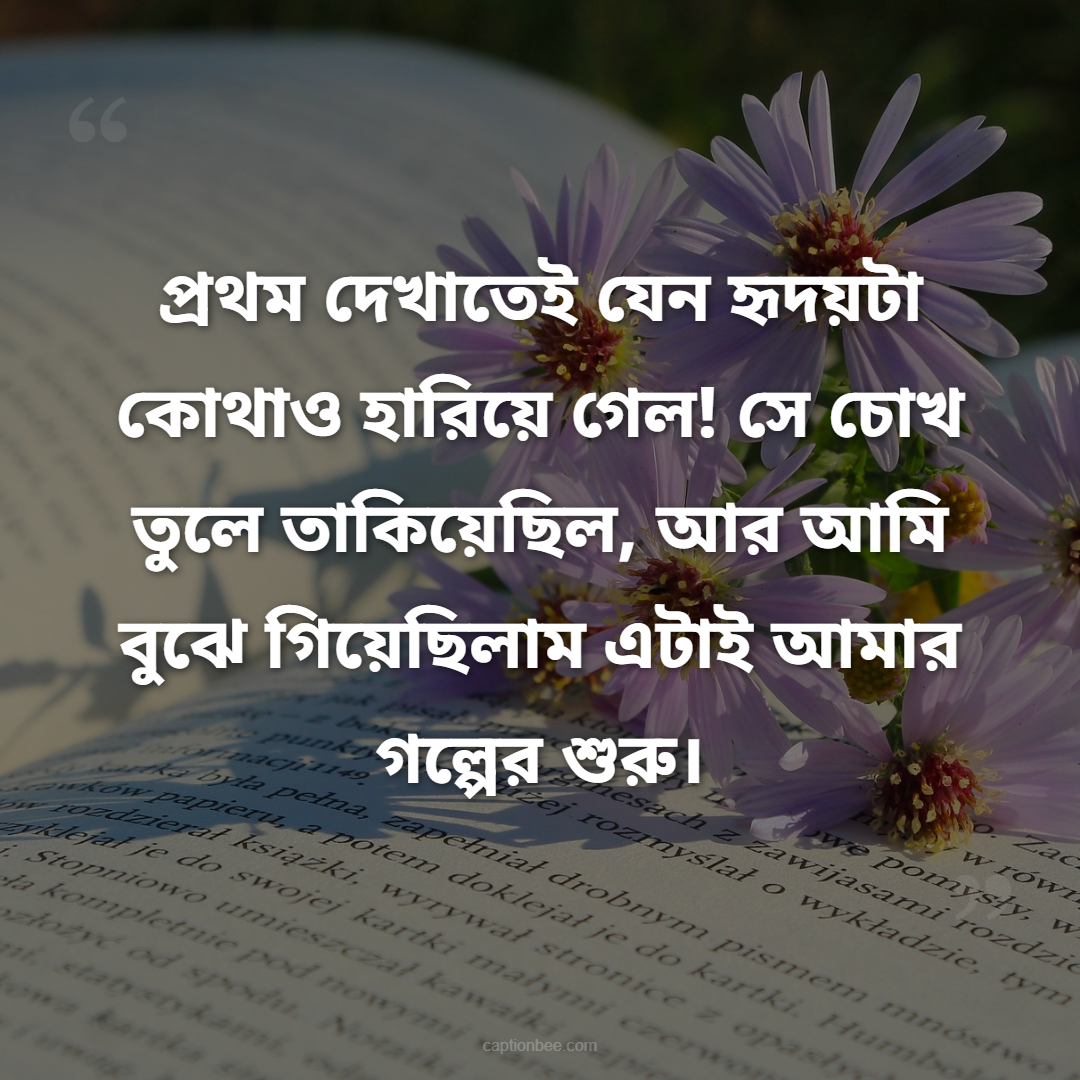 প্রথম দেখাতেই যেন হৃদয়টা কোথাও হারিয়ে গেল! সে চোখ তুলে তাকিয়েছিল, আর আমি বুঝে গিয়েছিলাম এটাই আমার গল্পের শুরু।