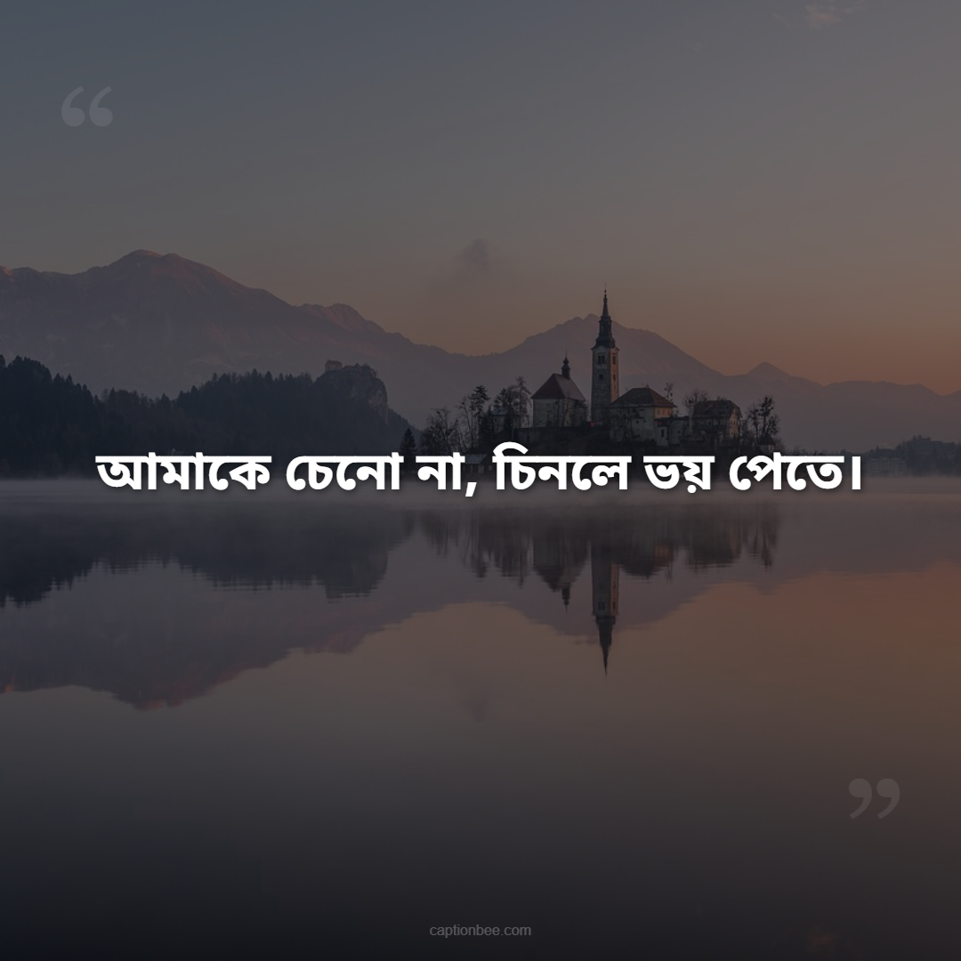 আমাকে চেনো না, চিনলে ভয় পেতে।
