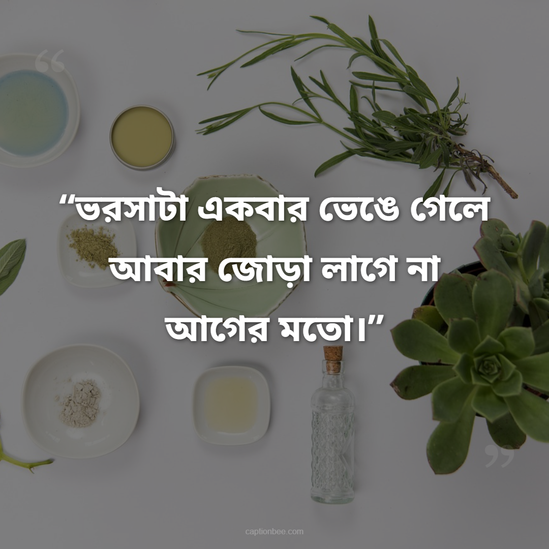 ভরসাটা একবার ভেঙে গেলে আবার জোড়া লাগে না আগের মতো।